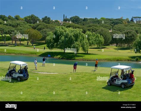 Umbrella pine portugal hi-res stock photography and images - Alamy