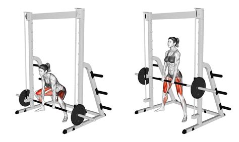 Can You Deadlift on a Smith Machine? Yes, Here's How - Inspire US