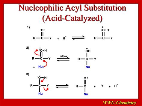 PPT - Carboxylic Acid Derivatives: Nucleophilic Acyl Substitution PowerPoint Presentation - ID ...