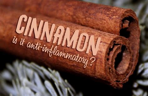 The Anti-Inflammatory Properties of Cinnamon (Learn How to Use it for Acne)