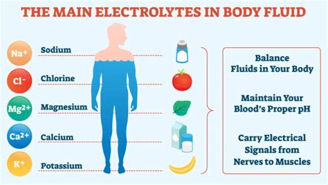 The Complete Guide to Electrolytes: Functions, Imbalance, Natural ...