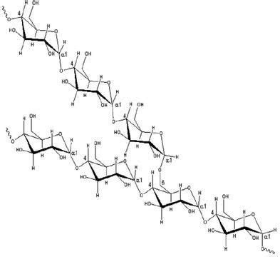 Branched structure of amylopectin [7]. | Download Scientific Diagram