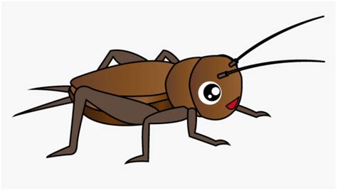 Cricket Insect Clipart Png - Insect Clipart Png, Transparent Png ...