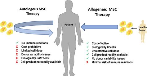 Autologous versus allogeneic mesenchymal stem cell therapy: The pros and cons - Surgery