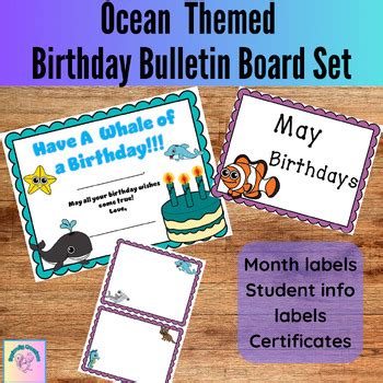 Ocean Animal Bulletin Board Birthday Set by Squirrelly Creations