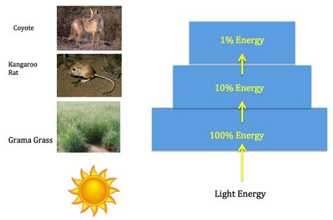 Energy Pyramid - Desert