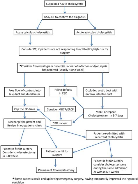 Percutaneous Cholecystostomy for Severe Acute Cholecystitis: A Useful Procedure in High-Risk ...