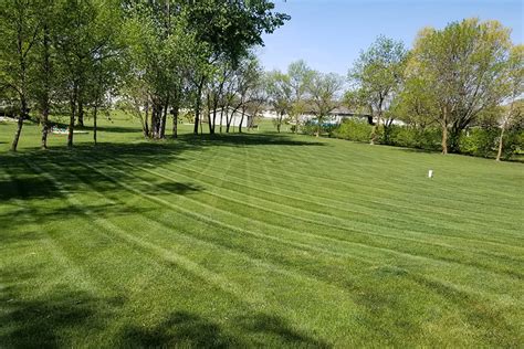 Clean Cut Lawn Care - Lawn Services