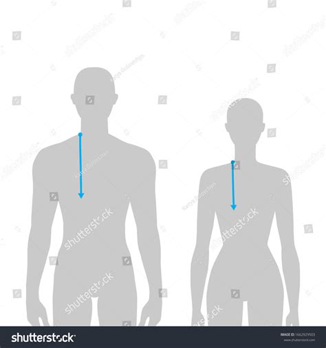 Women Men Do Armscye Depth Measurement Stock Vector (Royalty Free) 1662929503 | Shutterstock