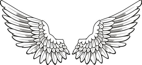 Wings PNG Transparent Images - PNG All