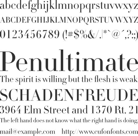 Didot Font Family : Download Free for Desktop & Webfont