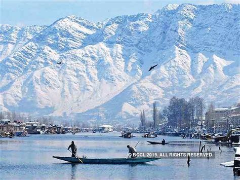 Beautiful images: Kashmir valley experiences fresh snowfall - Heavy snowfall in Srinagar ...