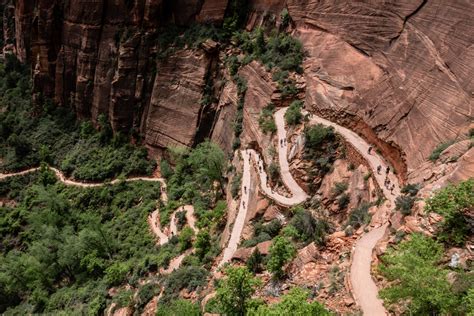 The Best Zion National Park Hikes, From Angel's Landing to Timber Creek | Condé Nast Traveler