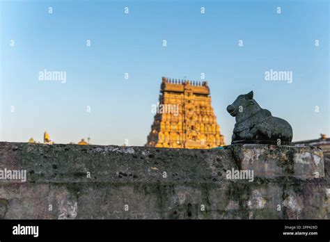 Nandhi facingthe shiva temple gopuram in Chidambaram, ancient south ...