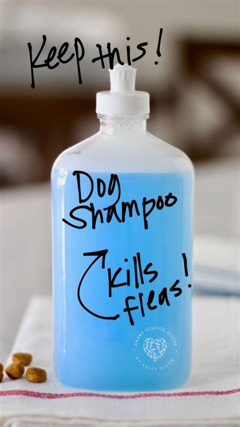 That kills fleas! | Dog shampoo recipe, Diy dog shampoo, Homemade dog shampoo