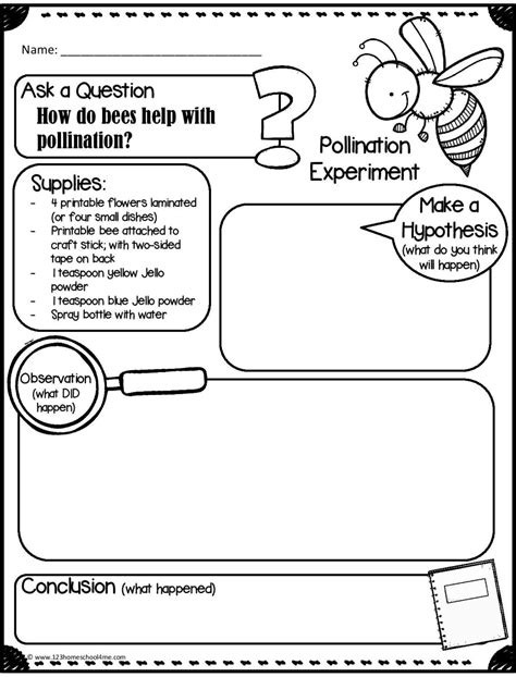 Fun Science Experiments Pollination Science Experiments