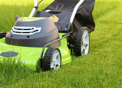 Lawn Care Tips and Tricks | ThriftyFun