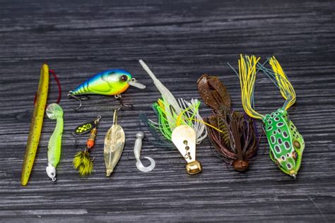 The Ultimate Guide to the Best Creature Baits for Bass Fishing - FishRook