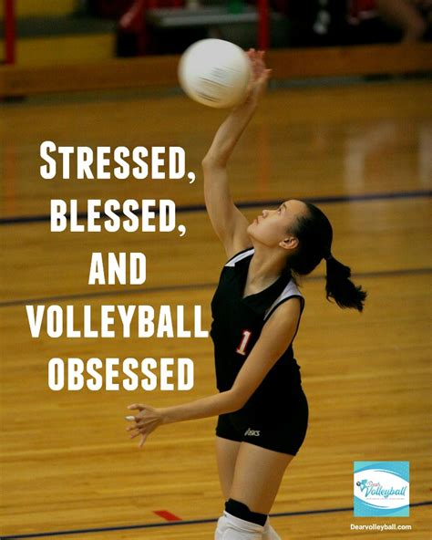 37 Volleyball Motivational Quotes and Images That Inspire Success