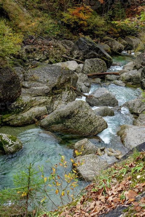 the alps in bavaria 10850107 Stock Photo at Vecteezy