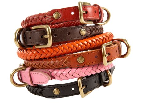 Dog Collars, Harnesses, Leads | Canine Styles est. 1959