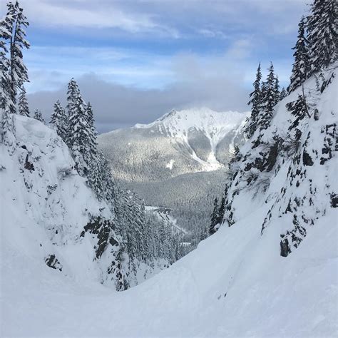 Mt. Baker Ski Area | The Undisputed King of Snow