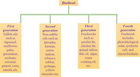 Different biodiesel feedstocks. | Download Scientific Diagram