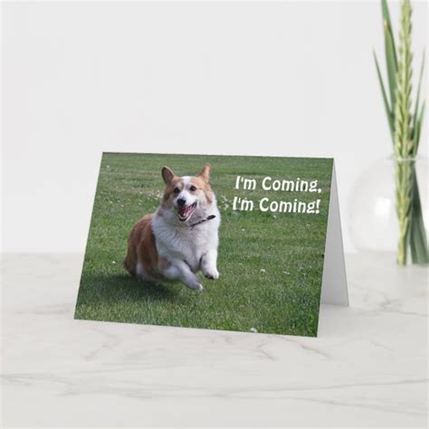 Corgi Birthday Card | Zazzle