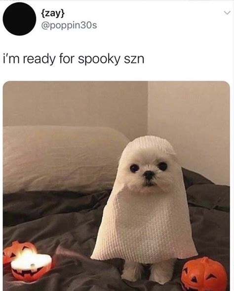 Spooky Halloween Memes