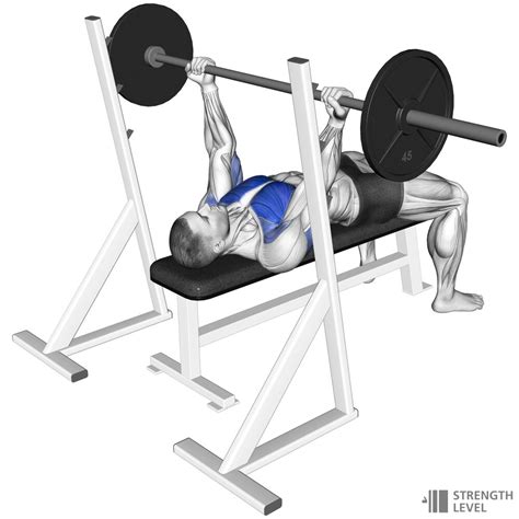 Reverse Grip Bench Press Standards for Men and Women (kg) - Strength Level