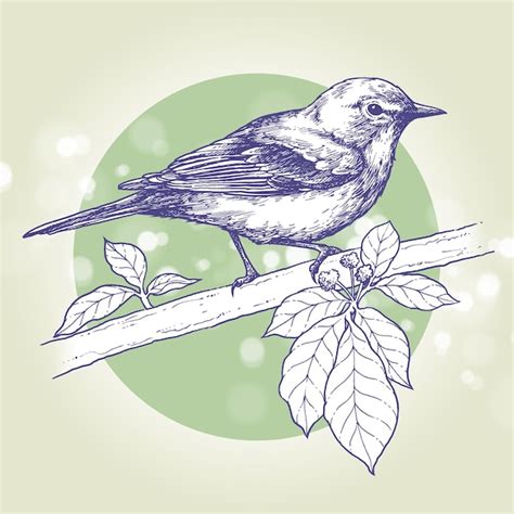 Premium Vector | Bird perched on a branch ink drawing hand drawn illustration vector