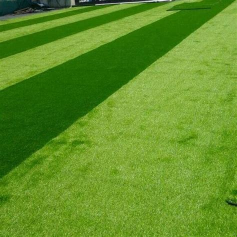 NSN Green Football Stadium Grass at Rs 11/sq ft in New Delhi | ID ...