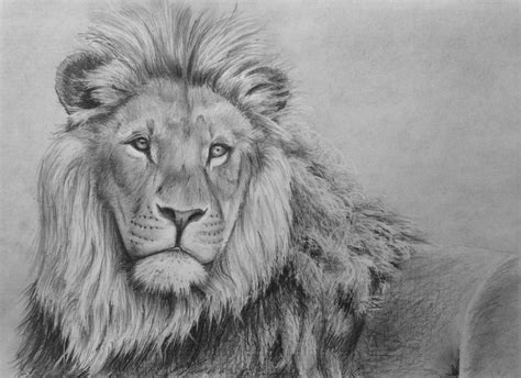 Easy Animal Line Drawings Line Drawing Animals - Prefixword