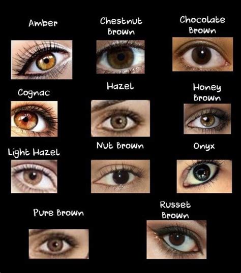 Different types of brown eyes. I think that mine are hazel or honey : r/Damnthatsinteresting