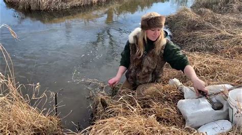 Otter trapping with footholds - YouTube