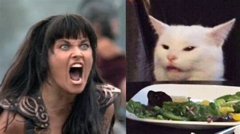 Woman yelling at cat meme generator - moliegypt