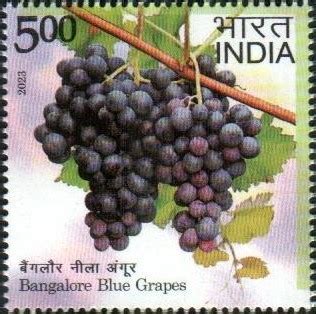 INDIA STAMP 2023 – BANGALORE BLUE GRAPES, KARNATAKA – GEOGRAPHICAL ...