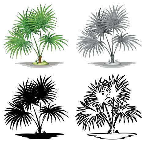 Set Of Palm Tree Plant Clip Art Drawing Silhouette Vector, Clip Art, Drawing, Silhouette PNG and ...