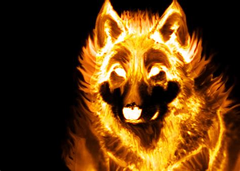 Wolf pics cause im bored :D: Fire Wolf