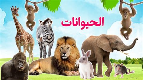 أسماء الحيوانات للاطفال - أصوات وأشكال الحيوانات البرية - Wild animal sounds - YouTube