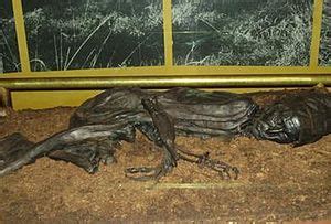 Tollund Man - Wikipedia, the free encyclopedia | Tollund man, Bog body, Ancient