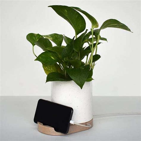 Handmade Stak Foster Ceramic Planter with Phone Holder | Gadgetsin