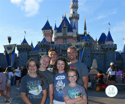 Disneyland and California Adventure Family Vacation - Babywise Mom