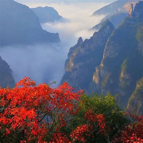 红叶巫山系列 | 红叶醉“神女” 立体游三峡_巫峡_长江_天路