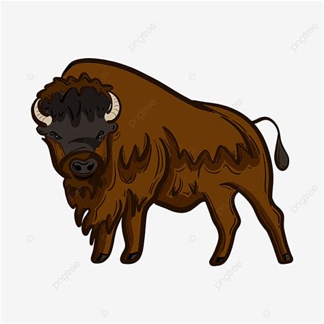 Bison Hd Transparent, Bison Clip Art, Bison Clipart, Wild Ox, Ox Horn ...