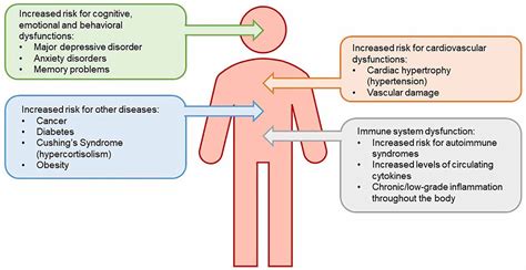 Frontiers | The Hypothalamic-Pituitary-Adrenal Axis: Development, Programming Actions of ...