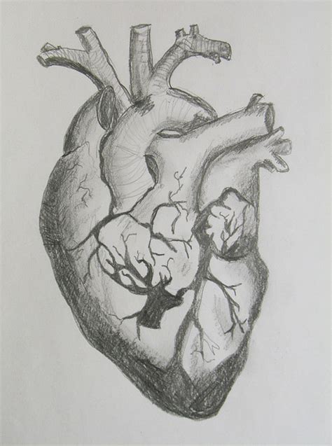 Heart Disease Drawing at PaintingValley.com | Explore collection of ...