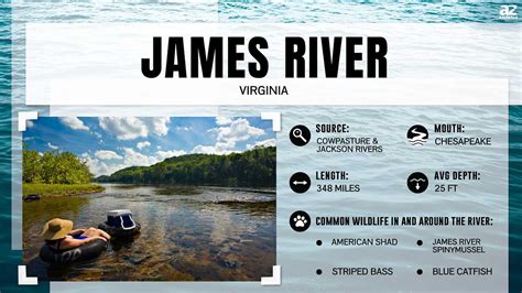 James River Wildlife, Size, Activities and More - A-Z Animals