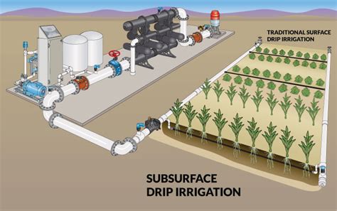 Increase Yield Performance with Subsurface Drip Irrigation - Southern Irrigation