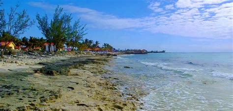 Things to Do in Princess Cays, Bahamas - Cruise Panorama